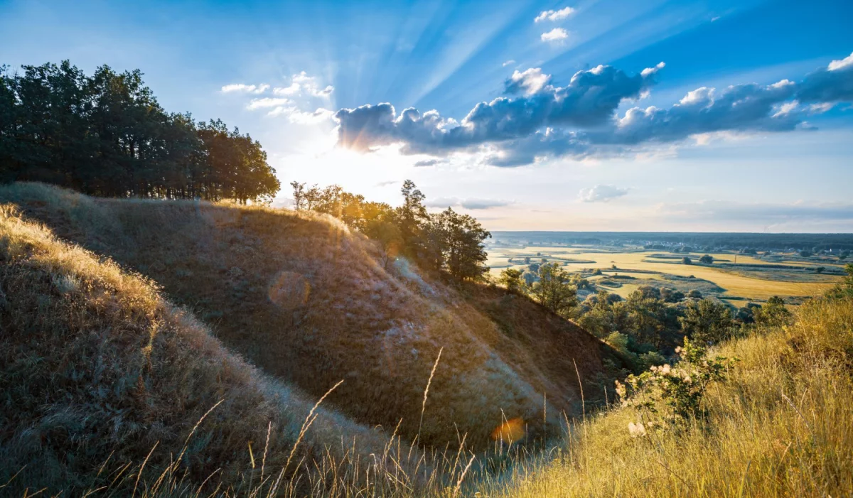 Unikaj problemów z klimatyzacją - postaw na regularne przeglądy