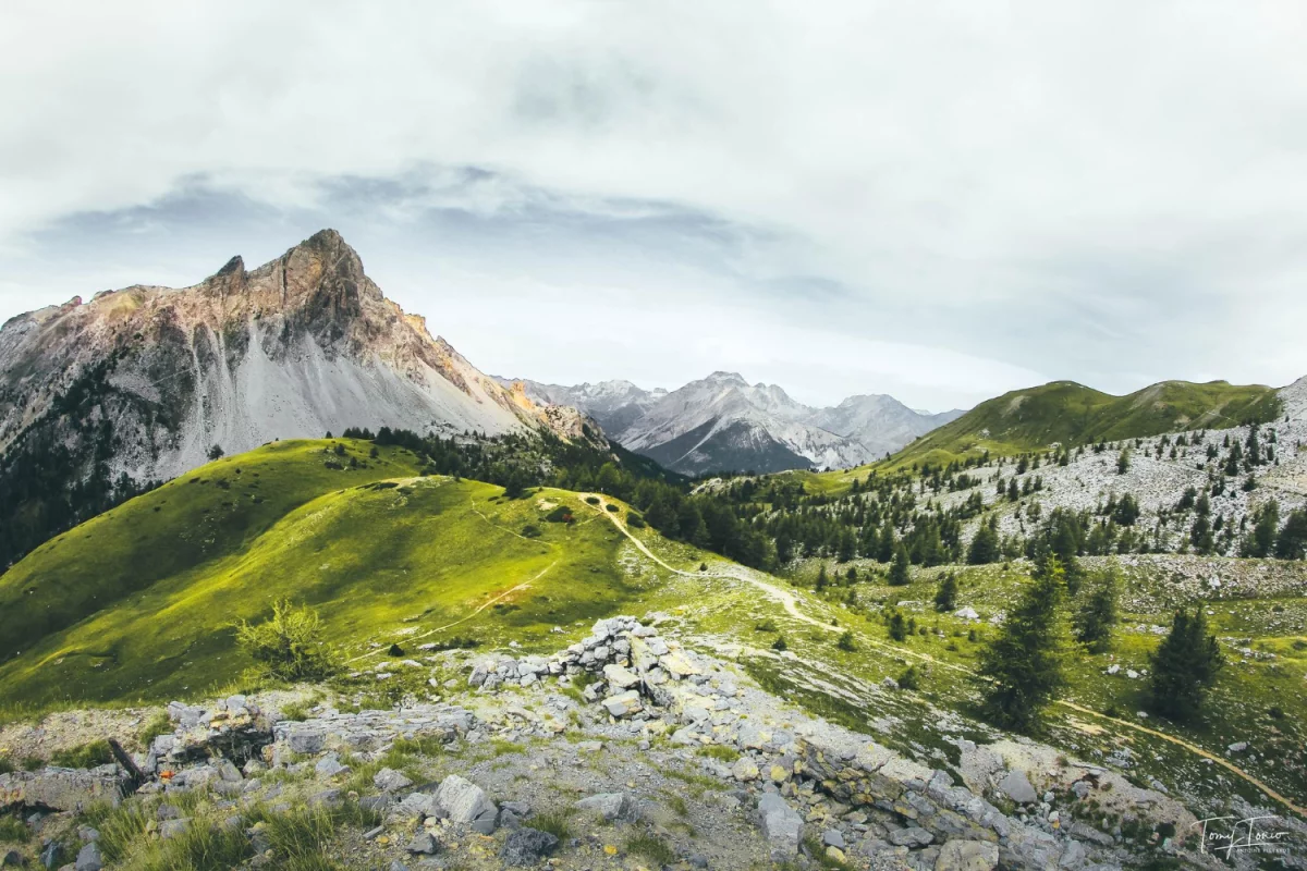 Jak przygotować sprawozdanie NWIS krok po kroku: checklista, wzór i najczęstsze błędy