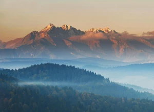 11 Wypowiedzi Ekspertów Na To Jak obliczyć ślad węglowy w firmie