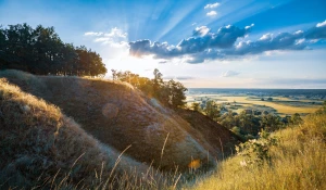 Jak usługi VeVA optymalizują procesy biznesowe i obniżają koszty: praktyczne przykłady i wskazówki wdrożeniowe